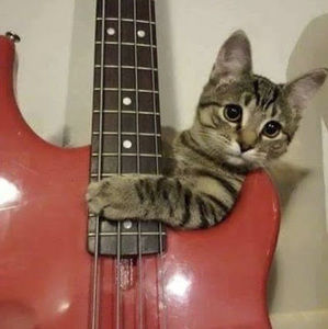 Meet your Posher, Pex